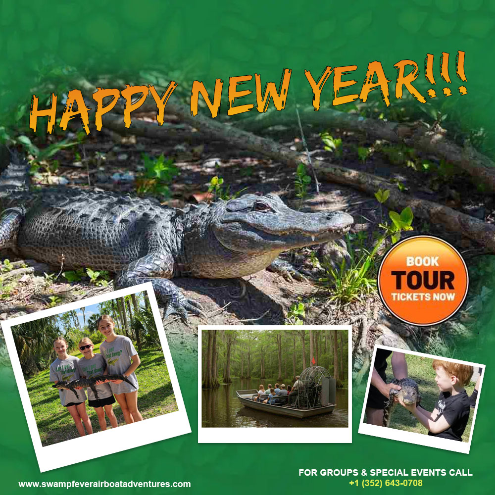 Mob Ny | Swamp Fever