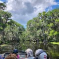 What Are The Most Thrilling Swamp Tour Experiences? 