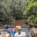What Makes A Guided Airboat Tour Better Than Self-Guided? 