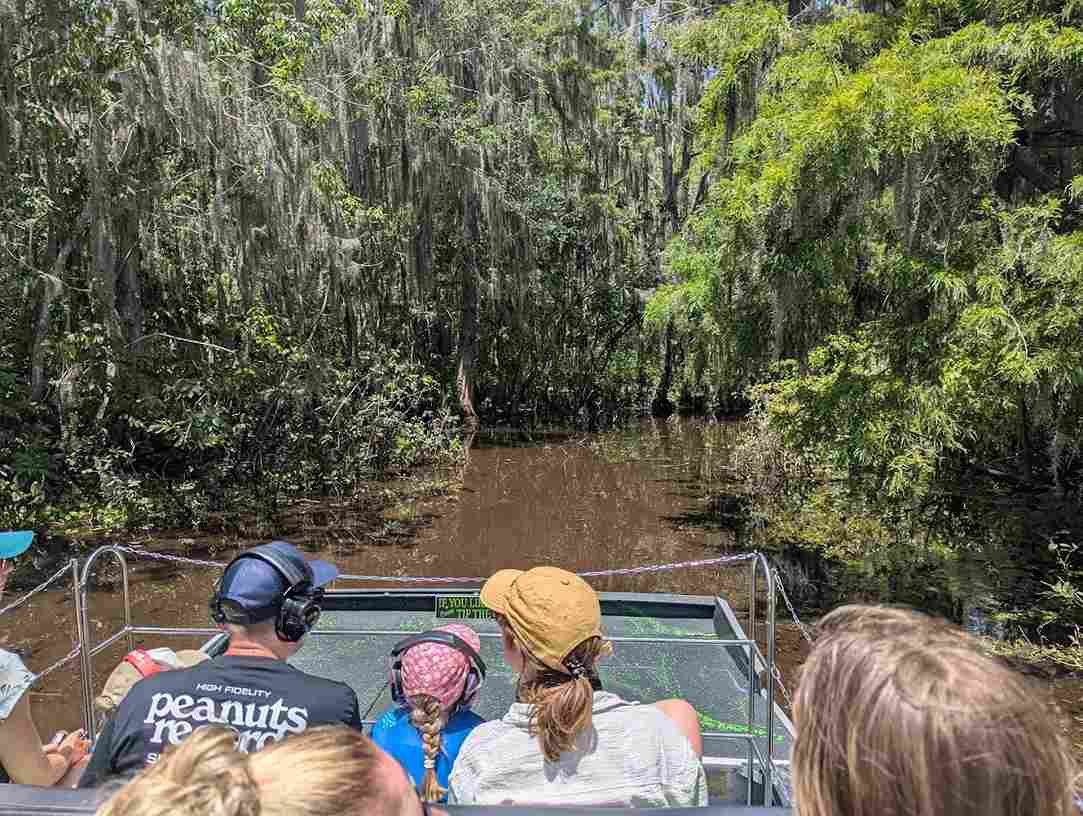 What Makes A Guided Airboat Tour Better Than Self-Guided - Swamp Fever Airboat Adventures