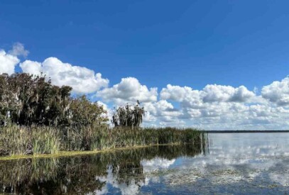 Are Airboat Tours Thrilling In All Weather Conditions - Swamp Fever Airboat Adventures