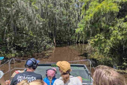How Do Airboat Guides Find Hidden Waterways - Swamp Fever Airboat Adventures