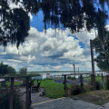 What Makes Airboat Tours Eco-Friendly? 