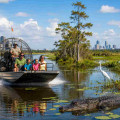How Do Airboat Tours Compare In Tampa Vs Orlando?