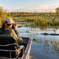 Can You Combine Airboat Tours With Wildlife Photography Workshops?