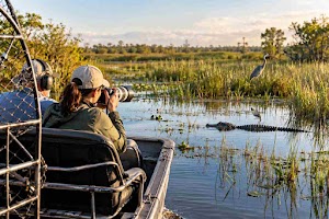 Swamp Fever Airboat Adventures Place Picture