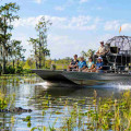 Florida Swamp Tours: How Do Airboat Rides Differ In Ocala Vs Tampa?