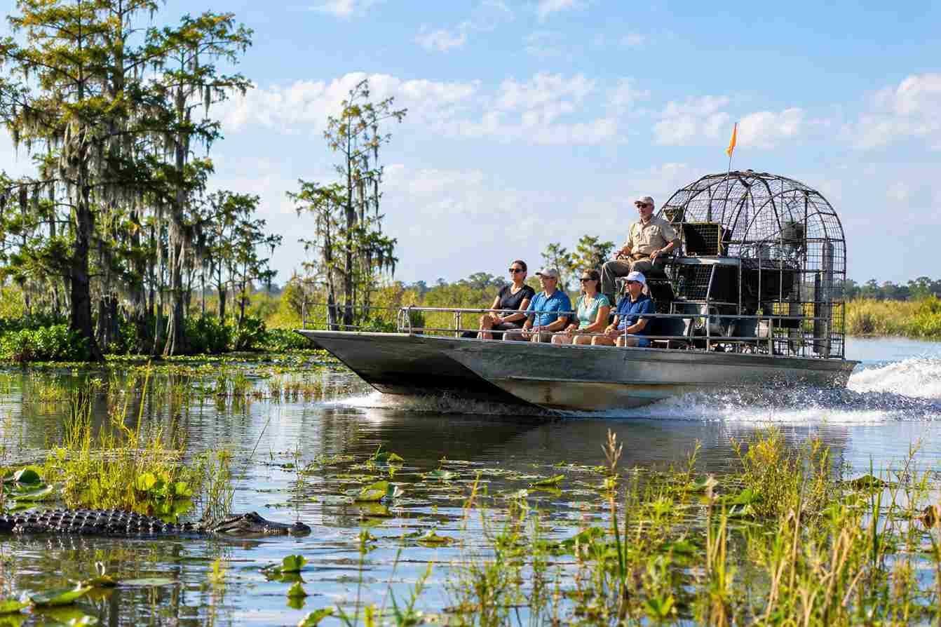 How Do Airboat Rides Differ In Ocala Vs Tampa - Swamp Fever Airboat Adventures