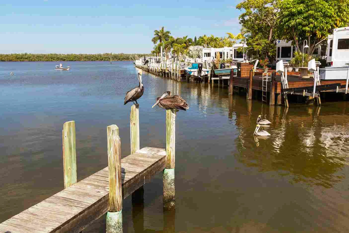 How Much Is An Airboat | Swamp Fever Airboat Adventures
