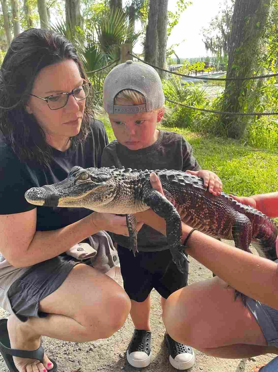 What Are The 3 Types Of Alligators - Swamp Fever Airboat Adventures