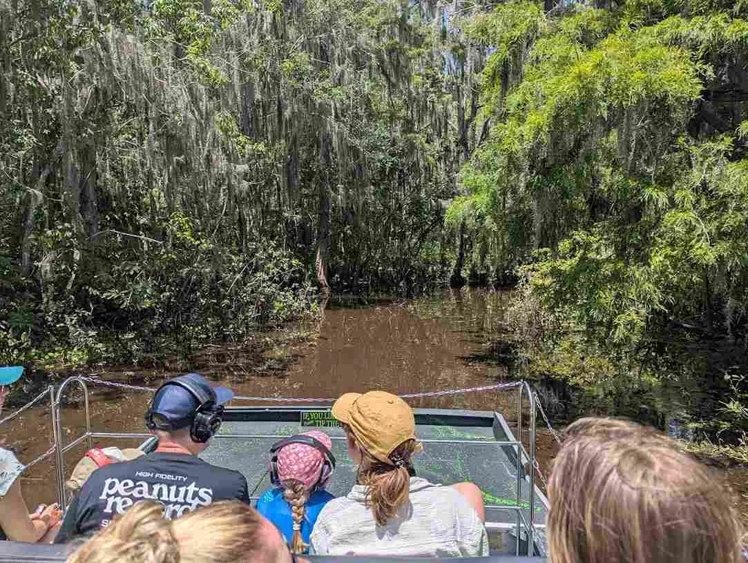 What Makes A Guided Airboat Tour Better Than Self-Guided - Swamp Fever Airboat Adventures
