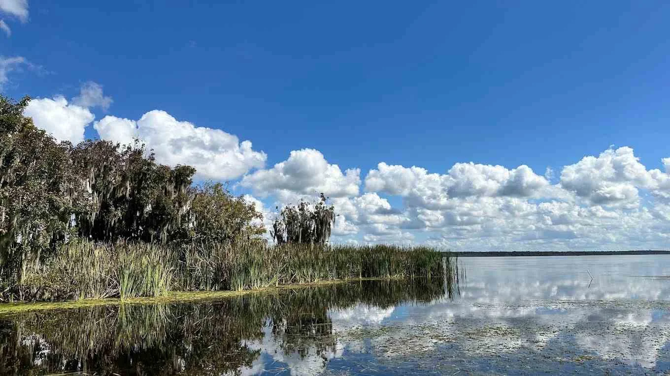 Are Airboat Tours Thrilling In All Weather Conditions - Swamp Fever Airboat Adventures
